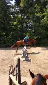 Stretch sold to a rider at Pillar Farm